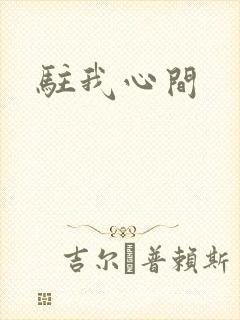 驻我心间