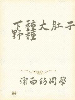 下种大肚子怀孕野种