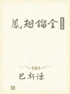 凤翅镏金镋封面