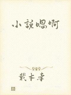 小说嗯啊