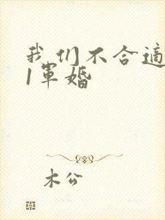 我们不合适1v1军婚
