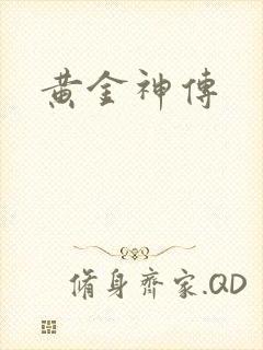 黄金神传封面