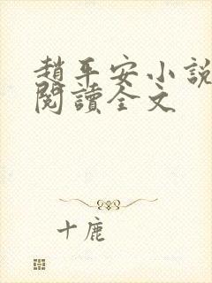 赵平安小说免费阅读全文