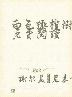 白色橄榄树全文免费阅读