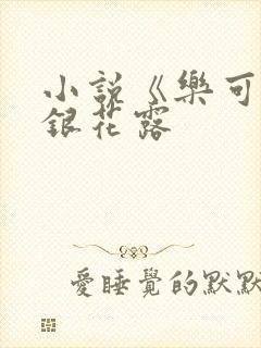 小说《乐可》金银花露封面