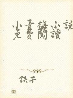 小青梅小说全文免费阅读