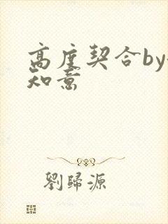 高度契合by洛知意封面