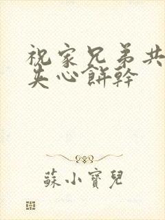 祝家兄弟共享后夹心饼干封面