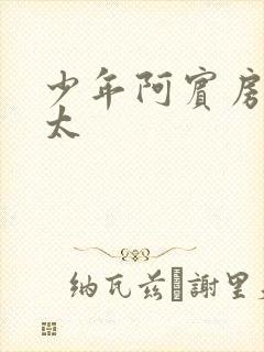 少年阿宾房东太太