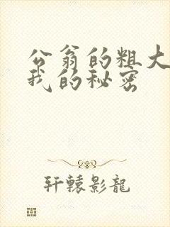 公翁的粗大放进我的秘密