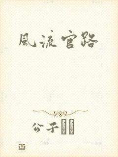 风流官路