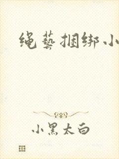 绳艺捆绑小说封面