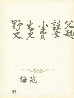 野火小说父女全文免费笔趣阁