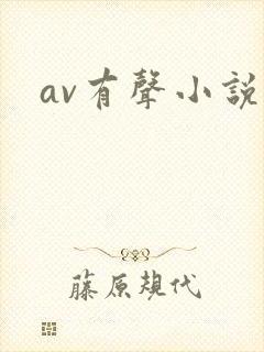 av有声小说