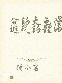 公的大龟慢慢挺进我的体内视频封面