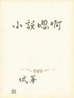 小说嗯啊