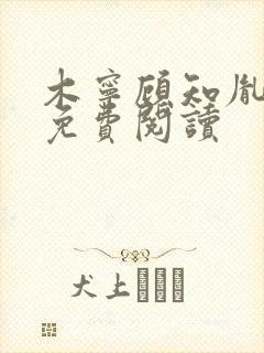 木宁顾知胤小说免费阅读