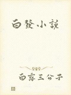 白发小说
