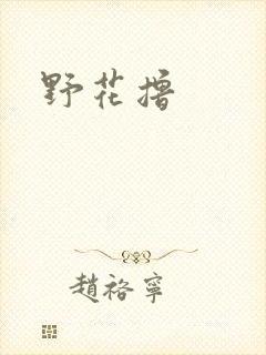 野花撸
