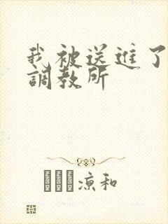 我被送进了私奴调教所