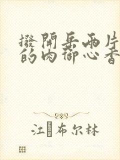 拨开岳两片肥嫩的肉御心香帅封面