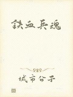 铁血兵魂封面