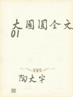 大团圆全文阅读01封面