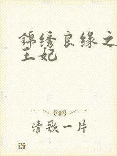 锦绣良缘之北地王妃