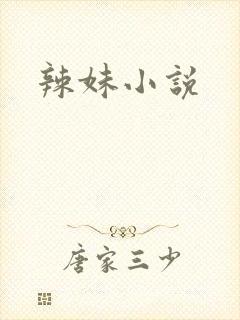辣妹小说