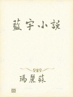 蓝宇小说