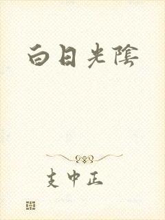 白日光阴封面
