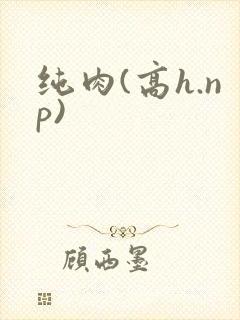 纯肉(高h.np)