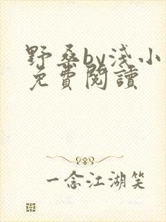 野桑by浅小说免费阅读