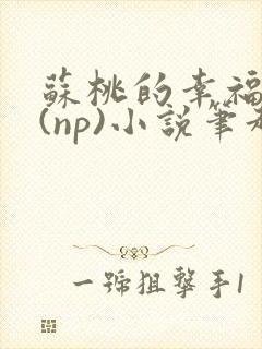 苏桃的幸福生活(np)小说笔趣阁沐沐