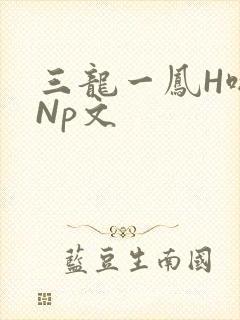 三龙一凤H啪肉Np文