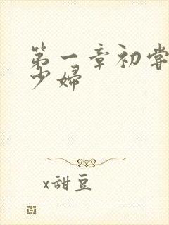 第一章初尝极品少妇