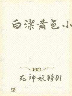 白洁黄色小说
