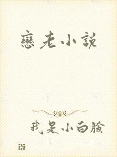 恋老小说