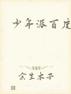 少年派百度百科