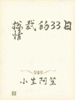 总裁的33日索情封面