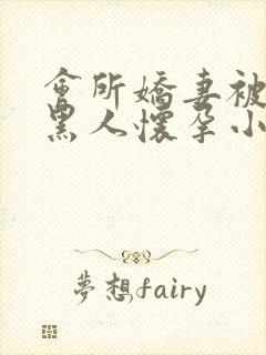 会所娇妻被多个黑人怀孕小说封面