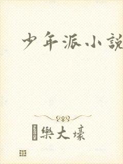 少年派小说