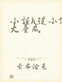 小说h从小做到大养成封面