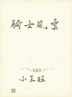骑士风云