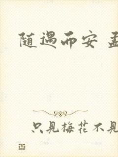 随遇而安 孟非