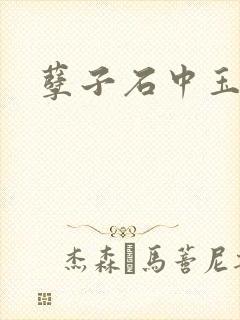 孽子石中玉