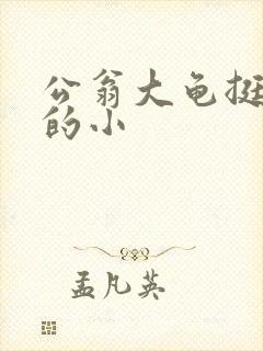 公翁大龟挺进我的小