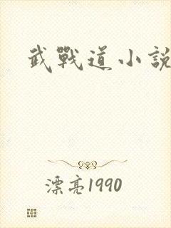 武战道小说
