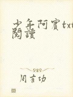 少年阿宾txt阅读
