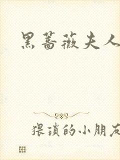 黑蔷薇夫人封面